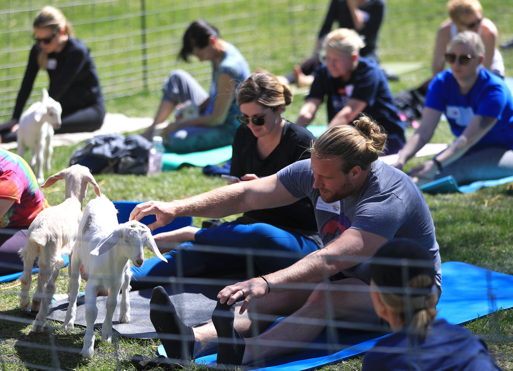 Namaste Goat Yoga